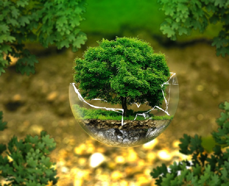 Sistemas de Gestión Ambiental (ISO 14001:2015 – PREAD)